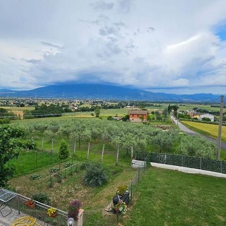 Delizioso Appartamento Collinare Limigiano Екстериор снимка